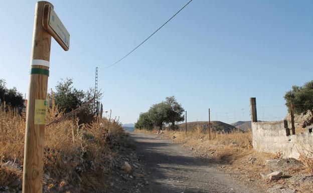 Imagen principal - Arriba, carril de tierra ancho en los primeros metros. Abajo, a la izquierda, el olivo acompaña a los senderistas en los primeros metros, y, a la derecha, hay que cruzar con precaución la carretera poco después del inicio.