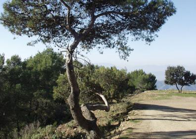 Imagen secundaria 1 - Arriba, la ruta parte desde el aula de la naturaleza de Las Contadoras. Abajo, a la izquierda, carril en ascenso, y, a la derecha, cruce de caminos.