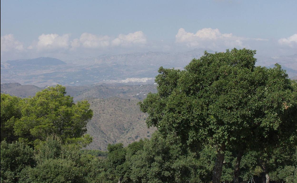 Desde allí se ve Villanueva de la Concepción y el Torcal de Antequera.