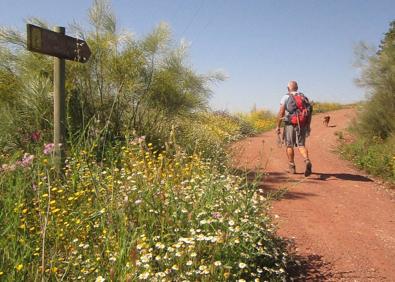 Imagen secundaria 1 - Arriba, inicio de la ruta en Los Ventorros. Abajo, después del carril asfaltado se pasa a un camino de tierra, y, a la derecha, antes de llegar a la cima se atraviesa un bosque mediterráneo.