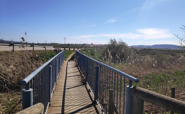 Imagen principal - Arriba, uno de los pequeños puentes que sirven para cruzar arroyuelos que desembocan en la laguna. Abajo, observatorio de La Vicaría, y, a la derecha, el flamenco rosa es la especie más singular y abundante en este humedal