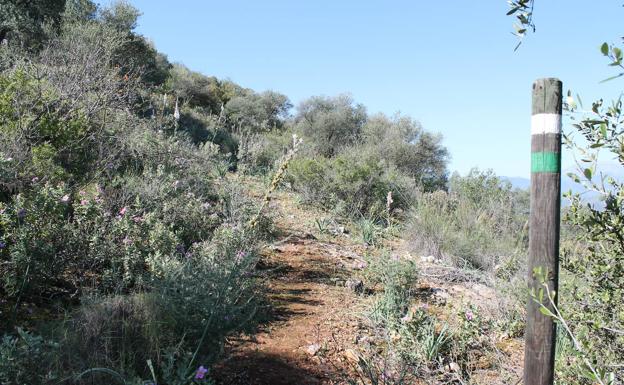 Imagen principal - Arriba, casi todo el recorrido discurre por estrechos senderos de tierra o rocosos. Abajo, al fondo, Coín, y, a la derecha, vértice geodésico de Sierra Gorda