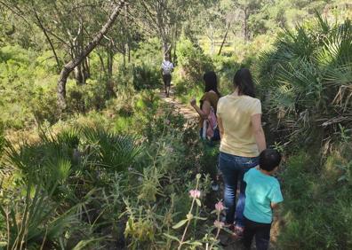 Imagen secundaria 1 - Arriba, el balneario de Fuente Amargosa es el punto de partida. Abajo, el recorrido no es muy duro, salvo algunos desniveles, y, a la derecha, este sendero está homologado desde 2018.