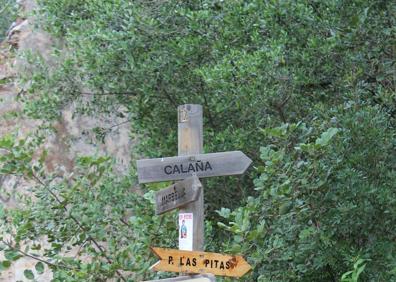 Imagen secundaria 1 - Arriba, el arroyo sirve de guía para esta ruta. Abajo, cruce de caminos con una de las etapas de la Gran Senda de Málaga, y a la derecha, Restos de la ermita de los Monjes