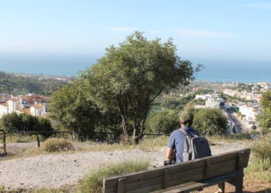 Imagen secundaria 1 - Arriba, hay paneles informativos repartidos por el parque forestal. Abajo, en el parque hay bancos de madera para descansar y disfrutar de las vistas, y a la derecha, algarrobos y encinas componen buena parte de la masa forestal de este espacio