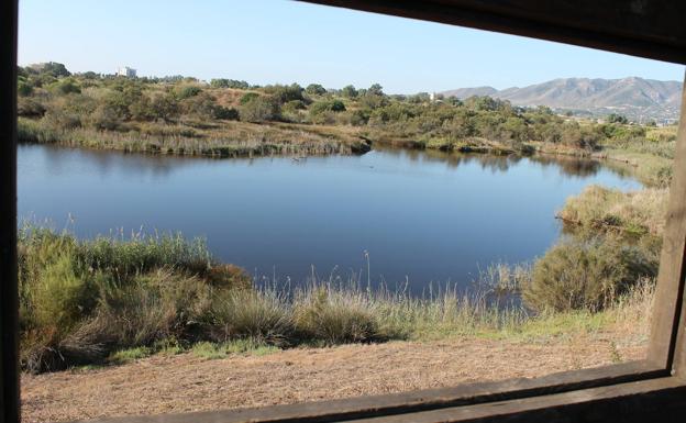 Imagen principal - Observatorio de la Laguna de la Casilla. Abajo, vista desde el observatorio del Río Viejo. Al final del sendero del Río Viejo, se llega hasta el observatorio del Espigón de Levante. 