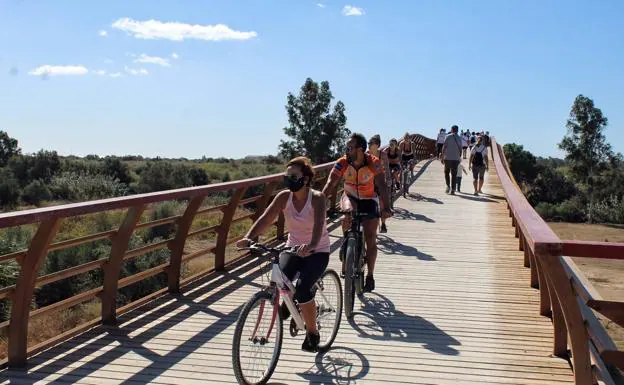 Imagen principal - La pasarela del Guadalhorce se convierte en una nueva atracción en Málaga