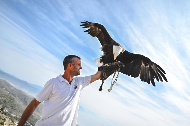 Este refugio acoge a casi 160 ejemplares de todo el mundo. 