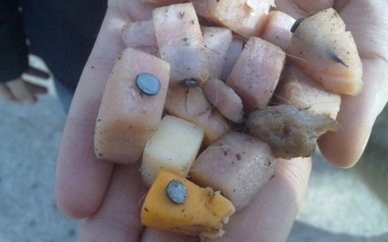 Alerta por comida para animales con metales en parques en Alhaurín el Grande