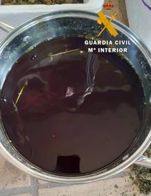 Imagen secundaria 2 - Nuevo golpe al cultivo de marihuana en Málaga: 17 detenidos y 2.000 plantas intervenidas en varios municipios