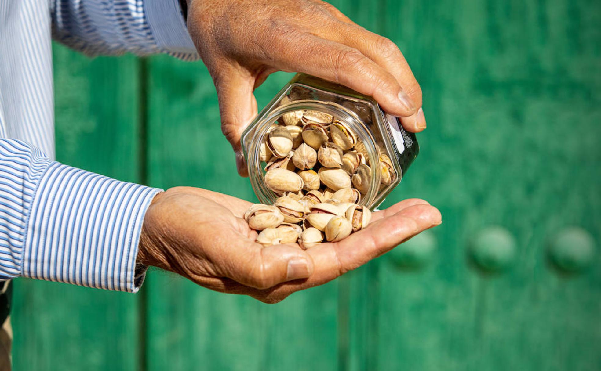 El renacer del pistacho andaluz con una marca gourmet de Archidona