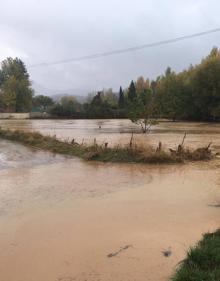 Imagen secundaria 2 - Carretera de Igualeja a Pujerra y zona de Navares y Tejares en Ronda, este jueves. 