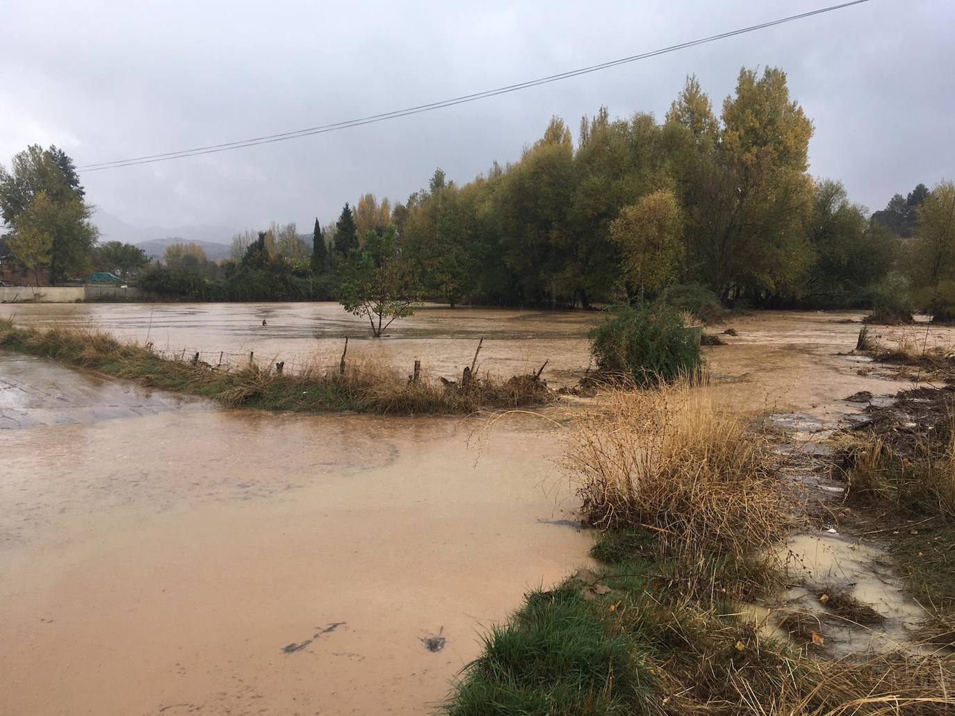 Zona de Navares y Tejares en Ronda