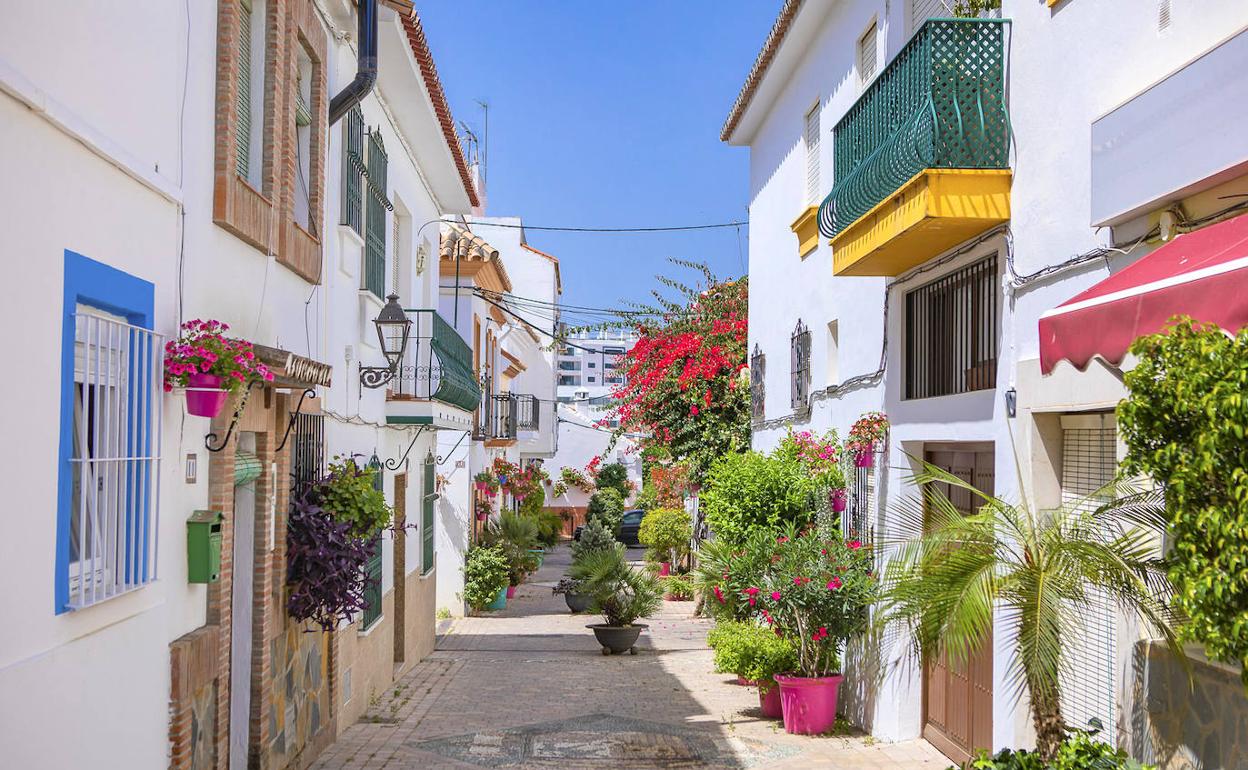 Estepona promocionará en la WTM su proyecto 'Estepona, Jardín de la Costa del Sol'. 