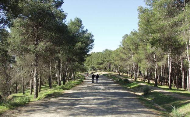 Carril que parte de Picapedreros.