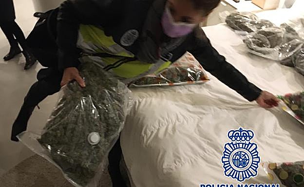 Droga incautada en uno de los registros.