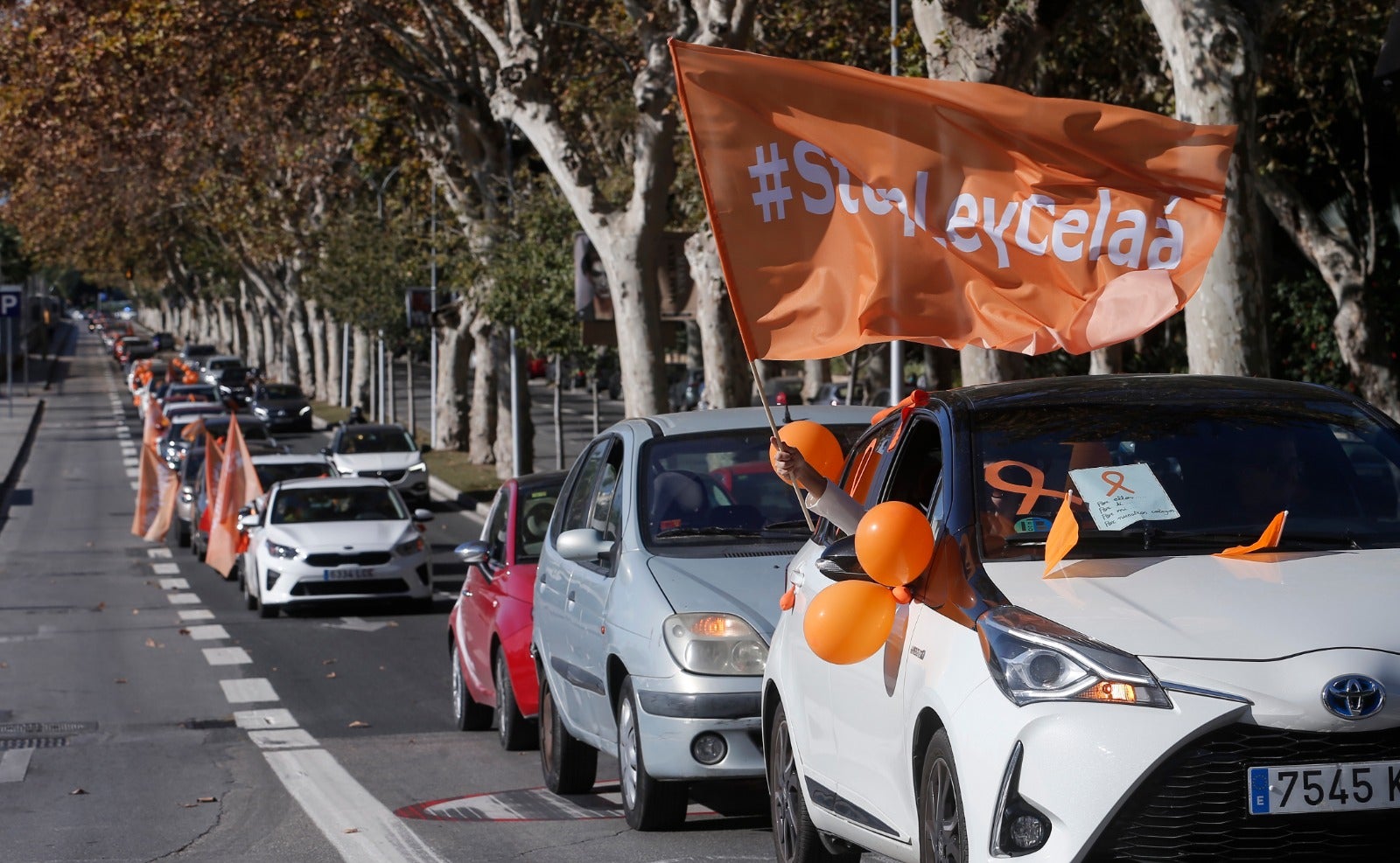 Convocada por la plataforma Más libres, Más plurales, Más iguales -reúne a centros privados y privados concertados- profesores, padres y ciudadanos se han montado en sus vehículos para denunciar esta nueva ley educativa.