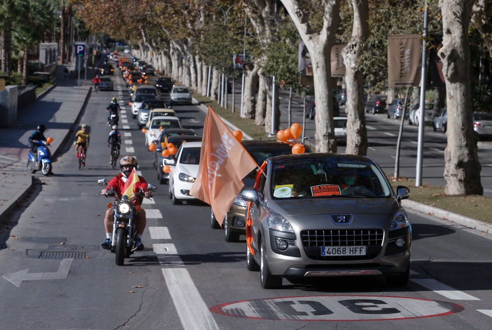 Convocada por la plataforma Más libres, Más plurales, Más iguales -reúne a centros privados y privados concertados- profesores, padres y ciudadanos se han montado en sus vehículos para denunciar esta nueva ley educativa.