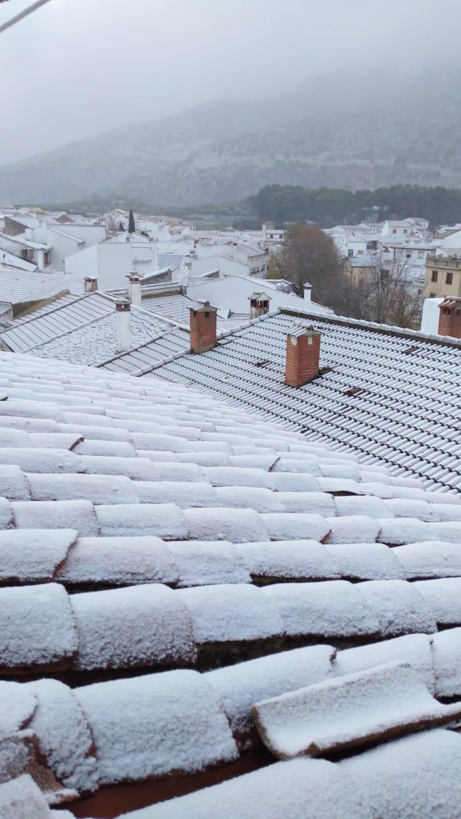 Imagen de Alfarnate, este sábado. 