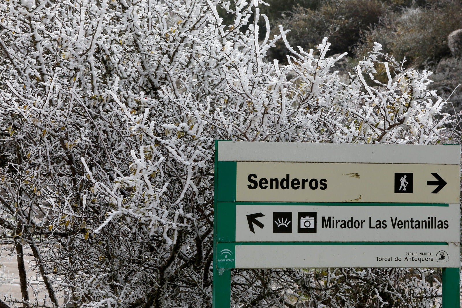 Imagen de El Torcal de Antequera, este sábado. 