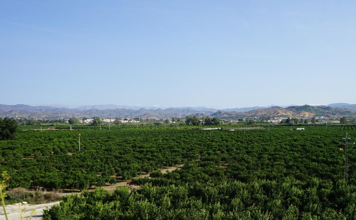 La vega de Mestanza, los terrenos en los que se prevé construir la EDAR Málaga Norte. 