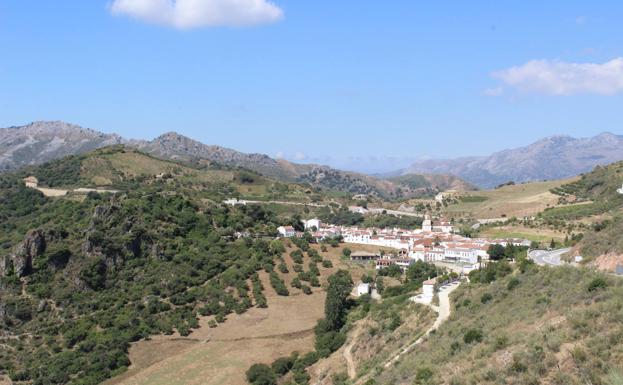 Atajate desde uno de los miradores de la carretera de Ronda-Algeciras.