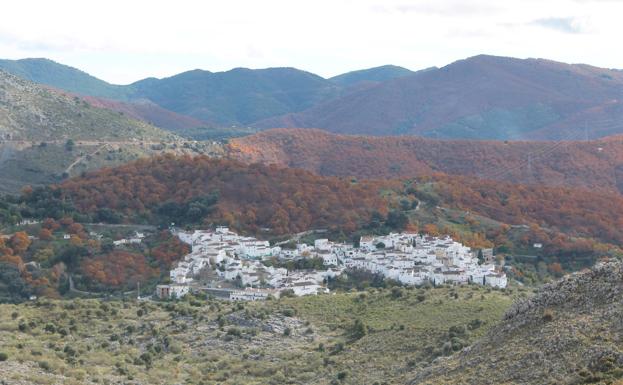 Parauta en el Bosque de Cobre.