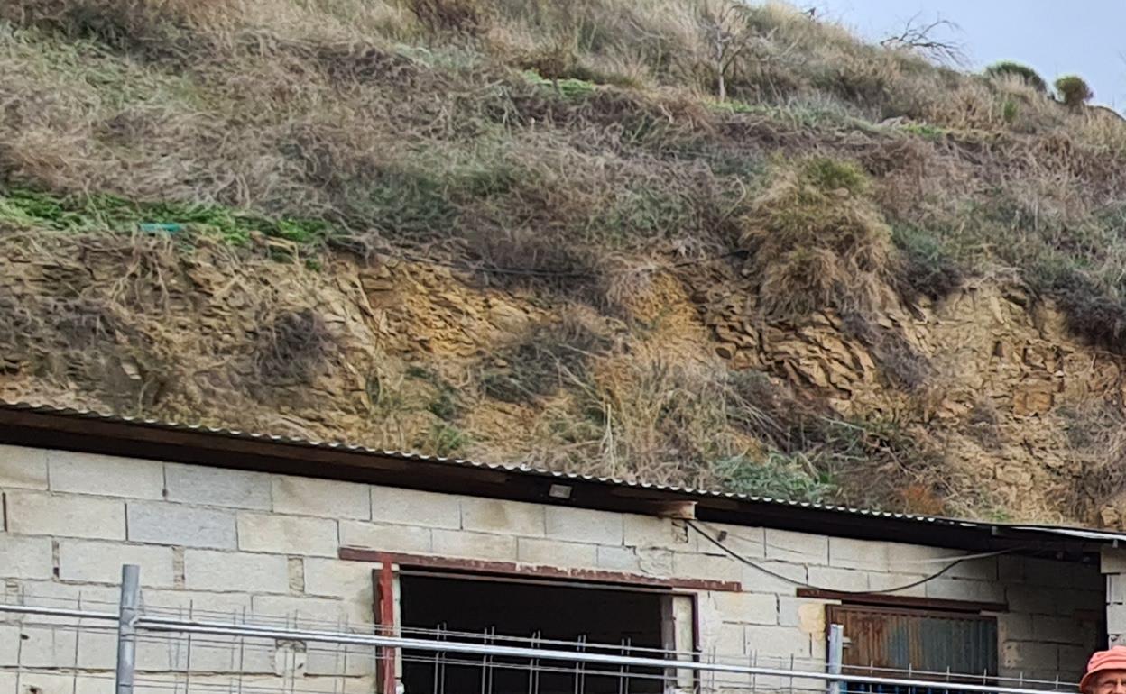 Voluntarios, en las labores de construcción del nuevo refugio en Moclinejo. 