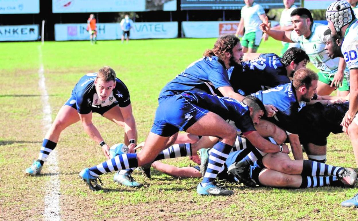 El Marbella Rugby, un club señor de la Costa