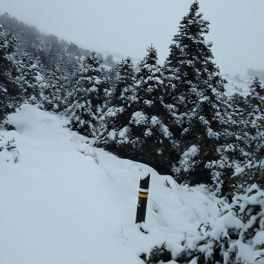 Sierra de las Nieves, este jueves.