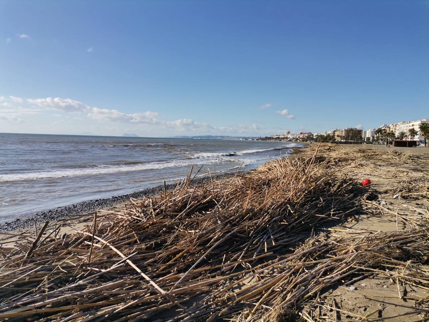 Restos en la playa de Estepona. 