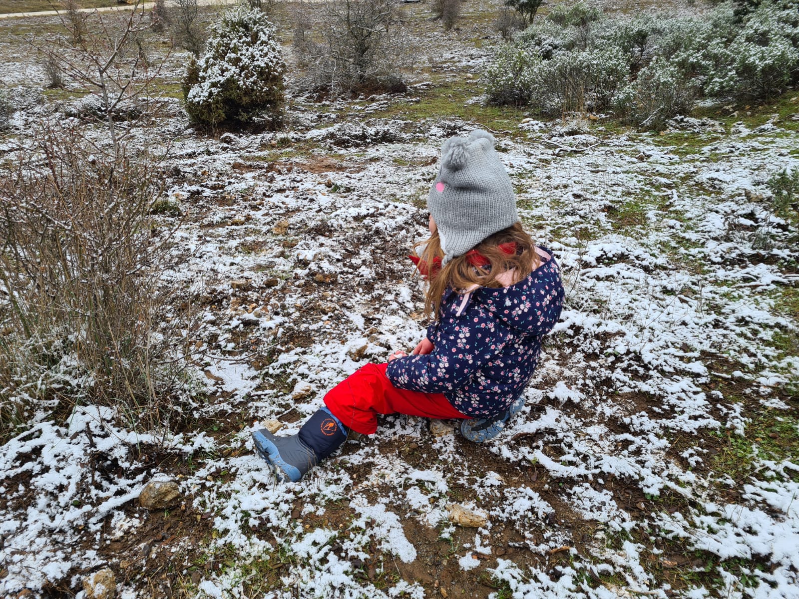 Nevada en la Sierra de las Nieves