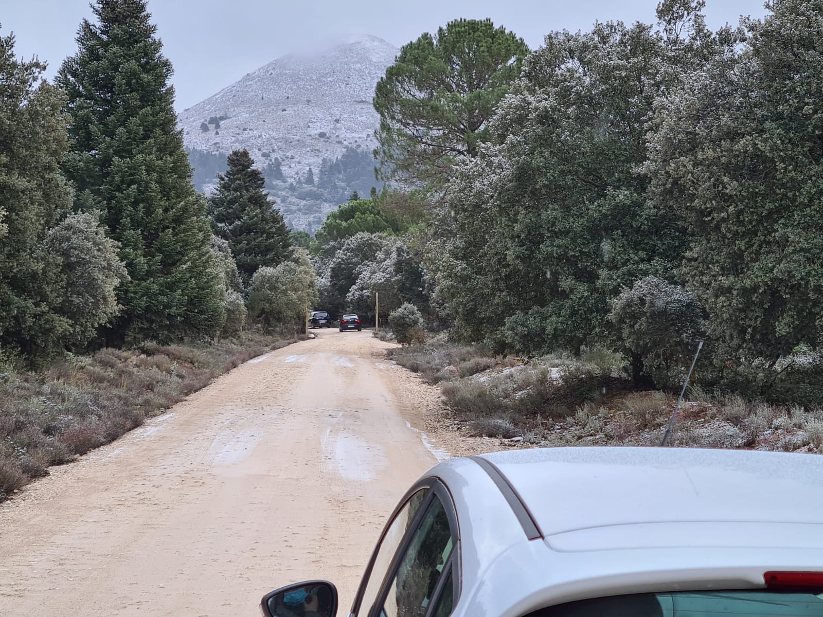 Nevada en la Sierra de las Nieves