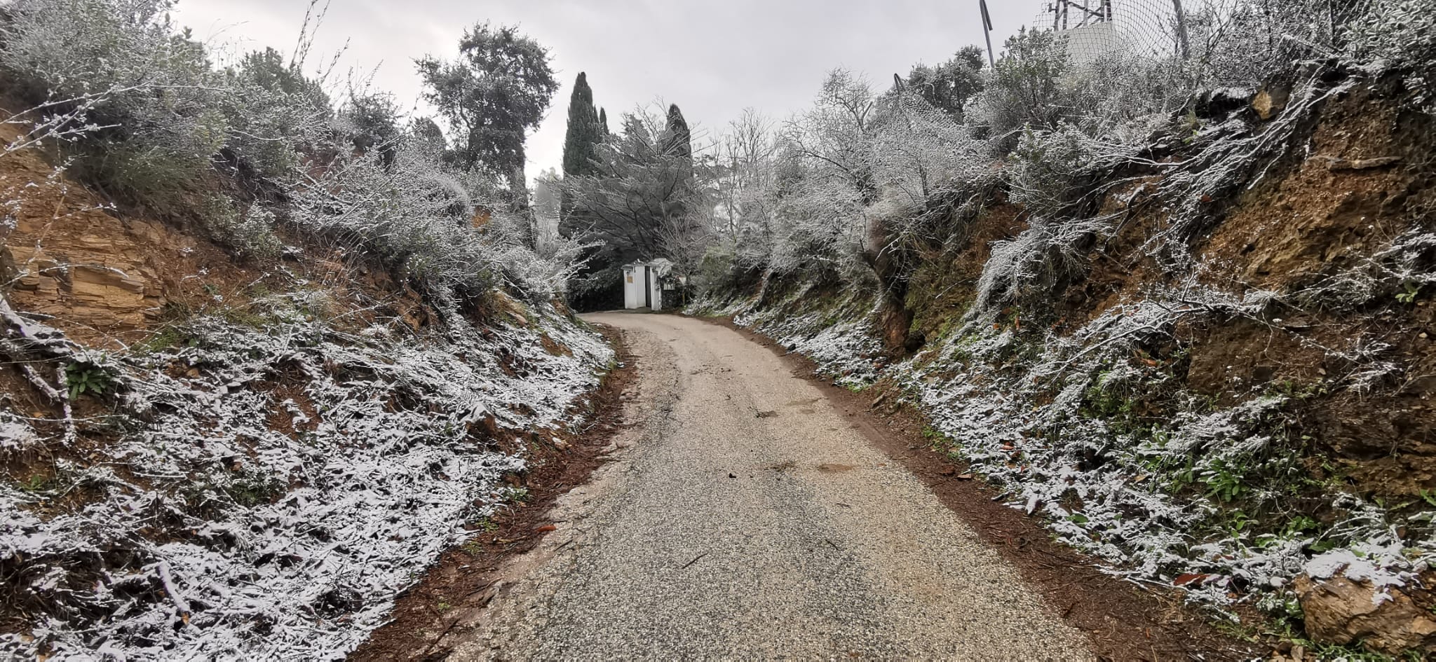 Nieve en los Montes de Málaga.