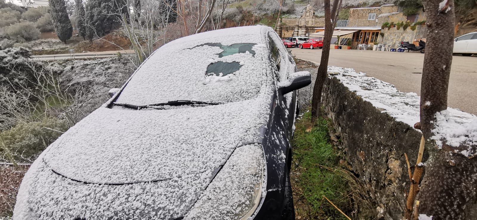 Nieve en los Montes de Málaga.