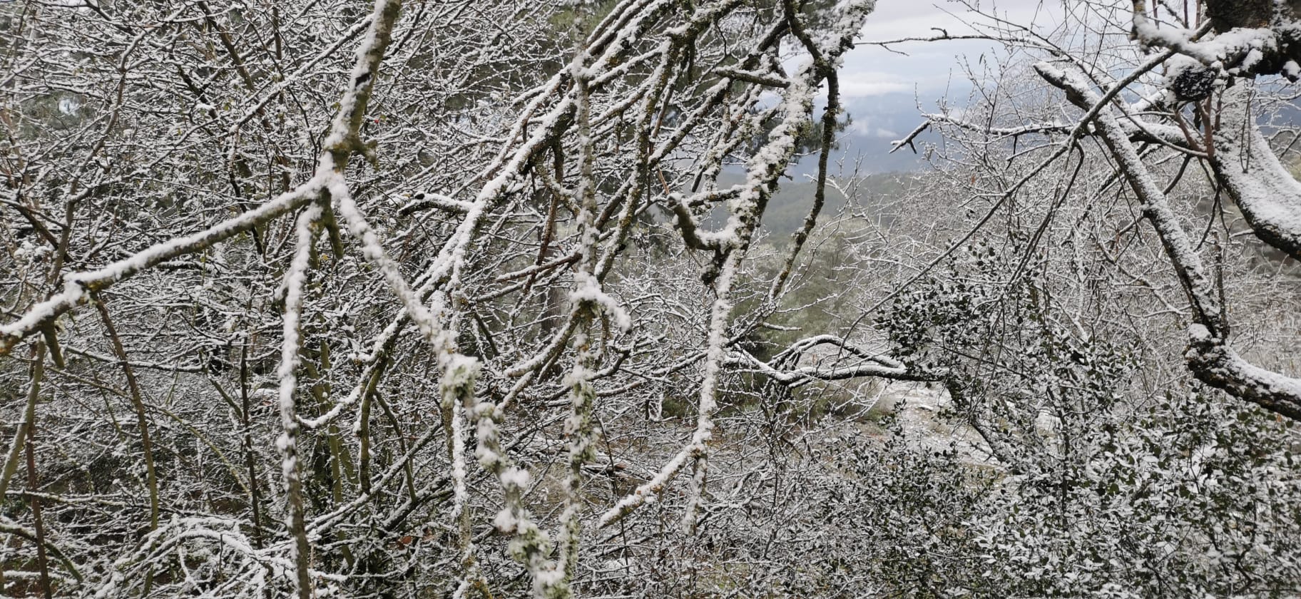 Nieve en los Montes de Málaga.