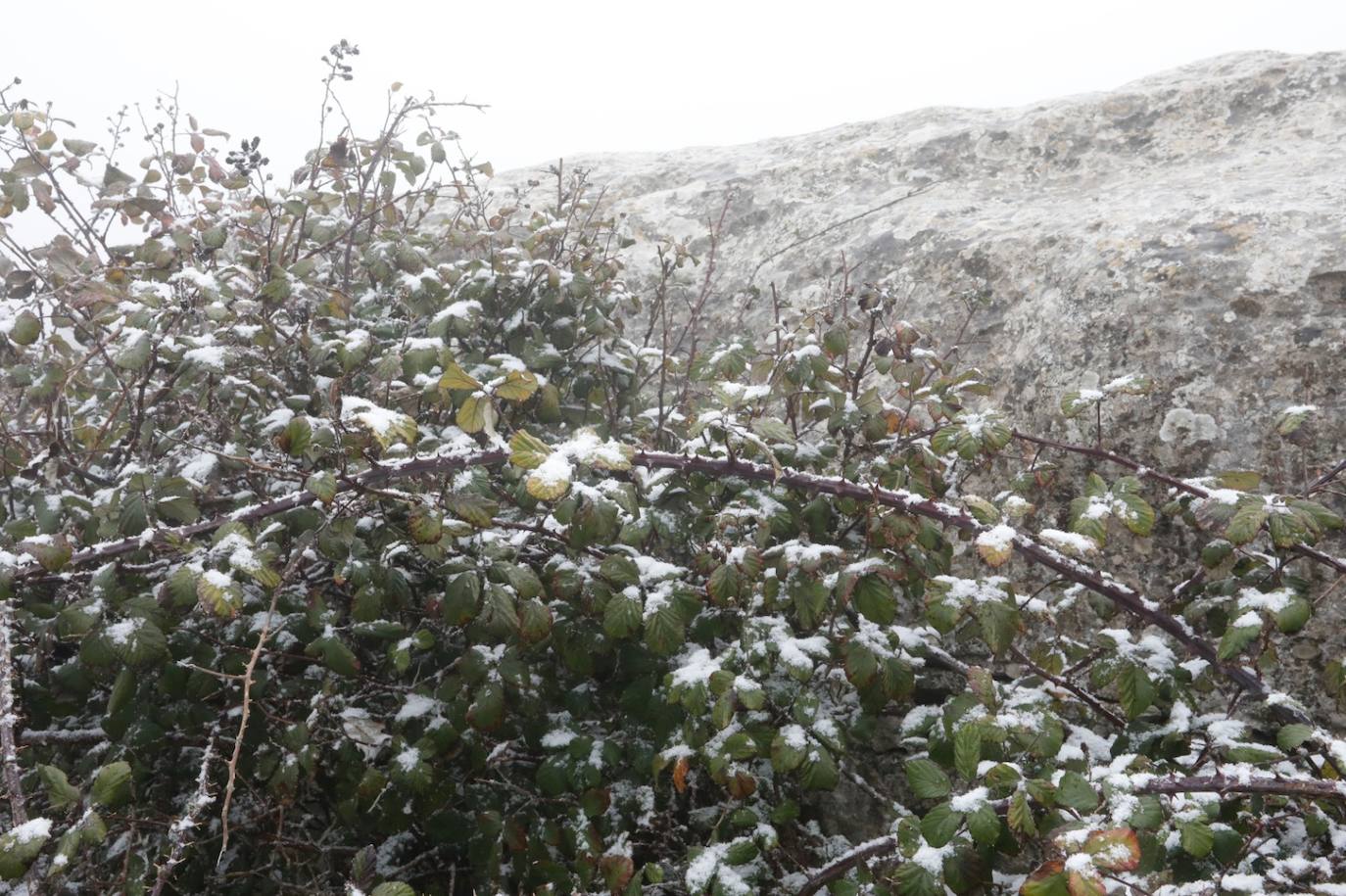 Nieve en el Torcal de Antequera este domingo
