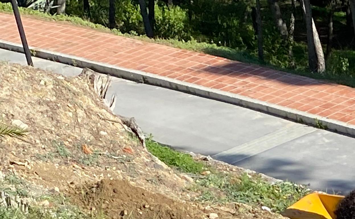 Visita a la zona donde se realizan los trabajos arqueológicos. 