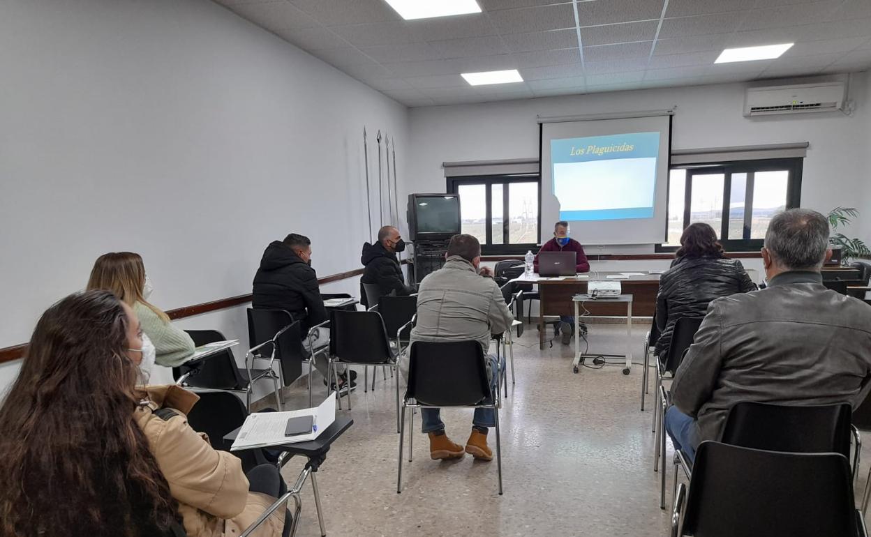 Más de 200 agricultores malagueños reciben formación del ministerio de agricultura, pesca y alimentación | diario sur