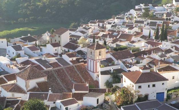 Casos confirmados, curados y fallecidos por COVID-19 en Gaucín