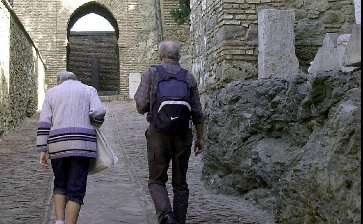 Málaga avanza en la creación de un consejo español de contenidos turísticos junto a nueve ciudades españolas | diario sur