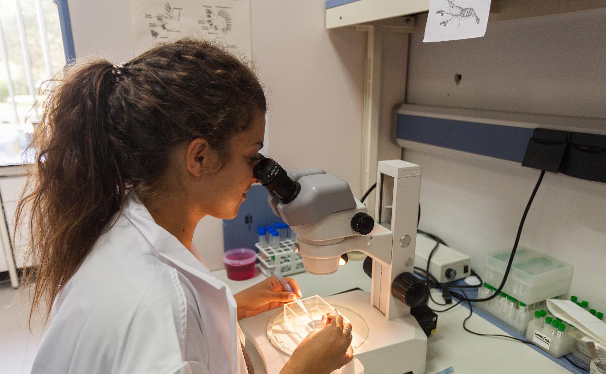 Una joven científica en la Universidad de Málaga. 