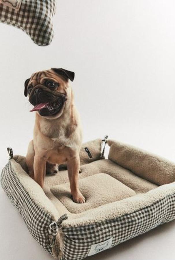 Fotos: La primera colección de Zara para perros, en imágenes