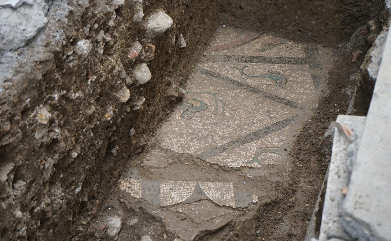 Nuevo descubrimiento en cártama: un mosaico romano del siglo ii d. C. En «excelente» estado de conservación | diario sur