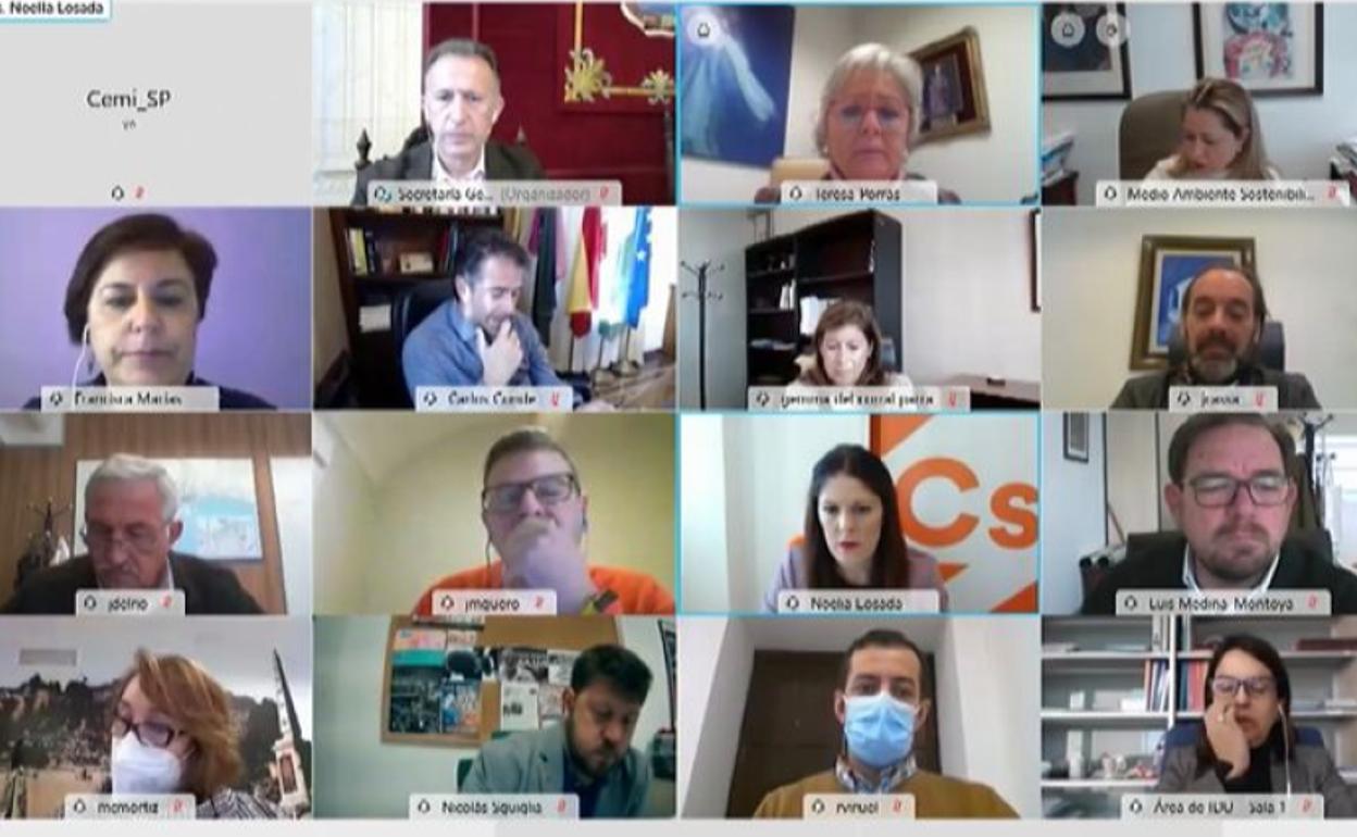 La comisión de Medio Ambiente se realizó de forma telemática.