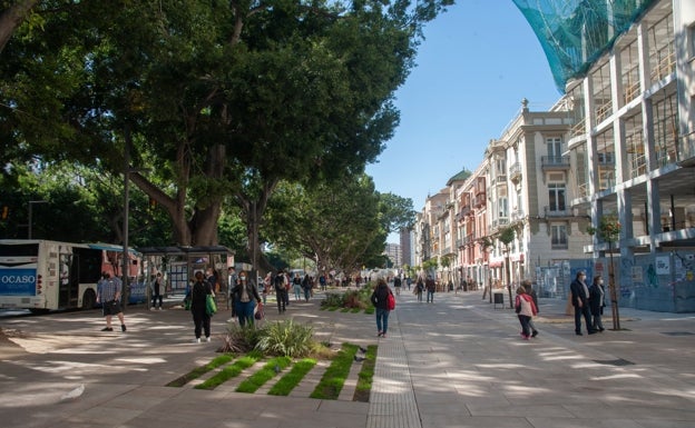 El carril bici de la Alameda irá entre las marquesinas de la EMT y las zonas verdes. 