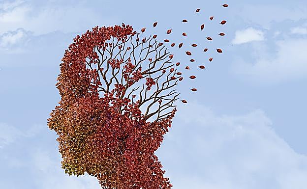 En busca del cabello perdido