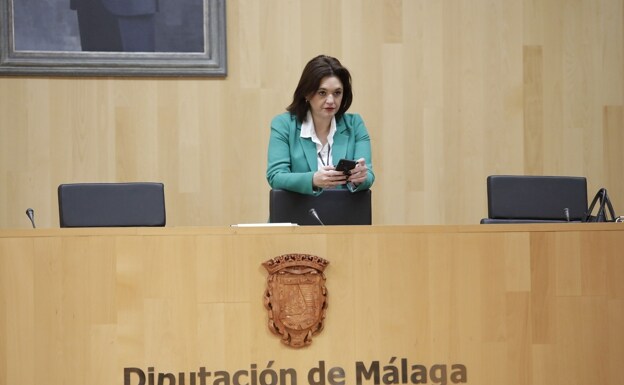 Del Cid, en el salón de plenos de la Diputación Provincial.