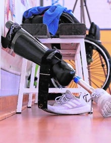 Imagen secundaria 2 - Amivel, bandera de la integración