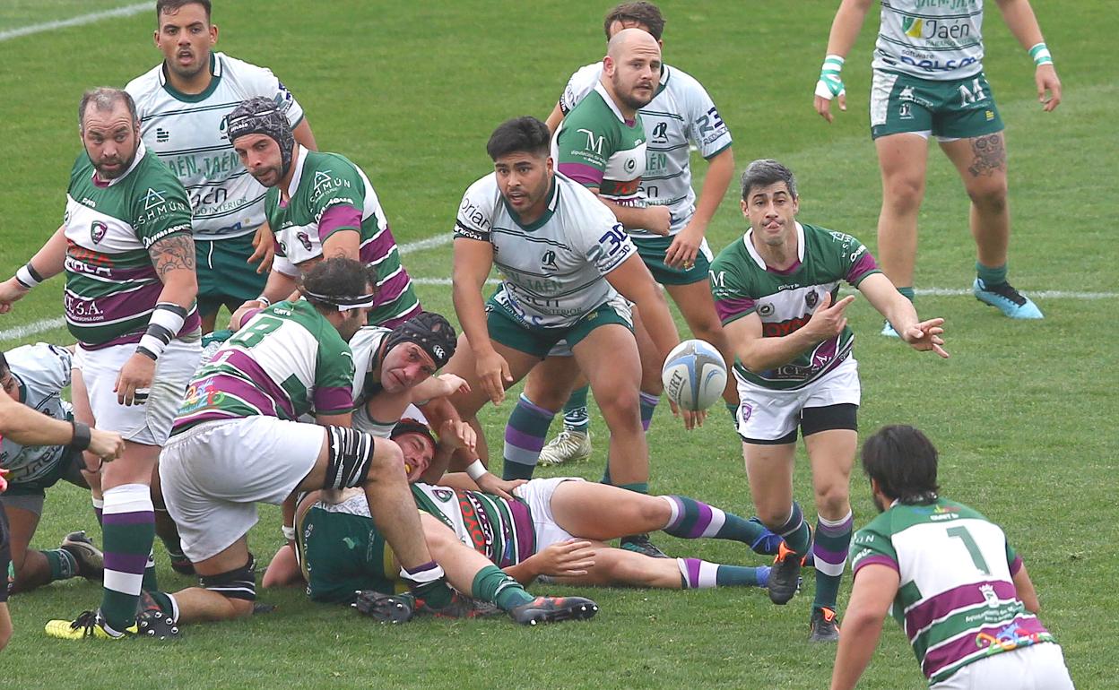 El Rugby Málaga dominó con claridad al Jaén. 